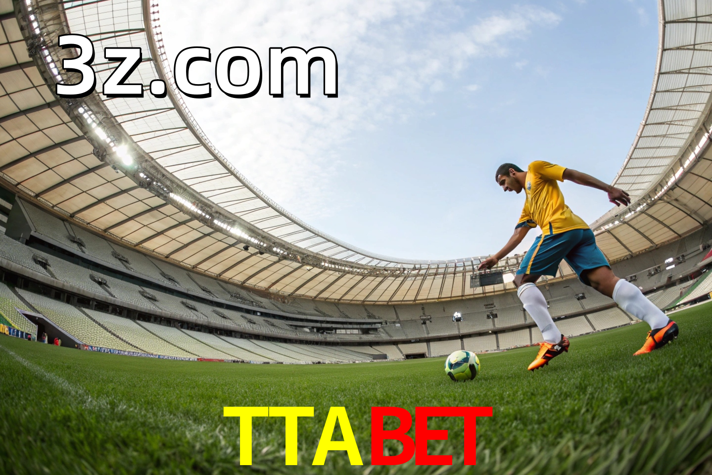 apostas esportivas
